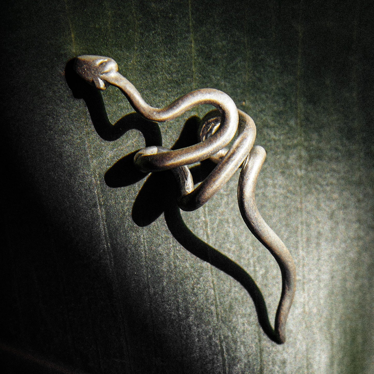 SNAKE CLIMBER