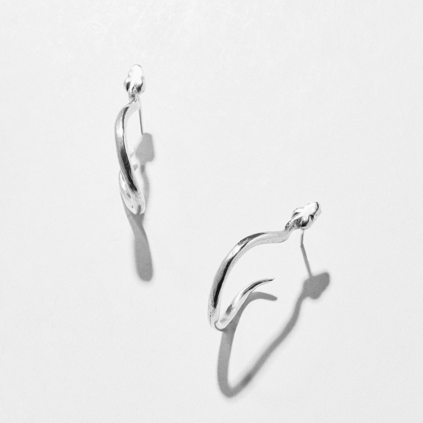 SERPENT HOOPS