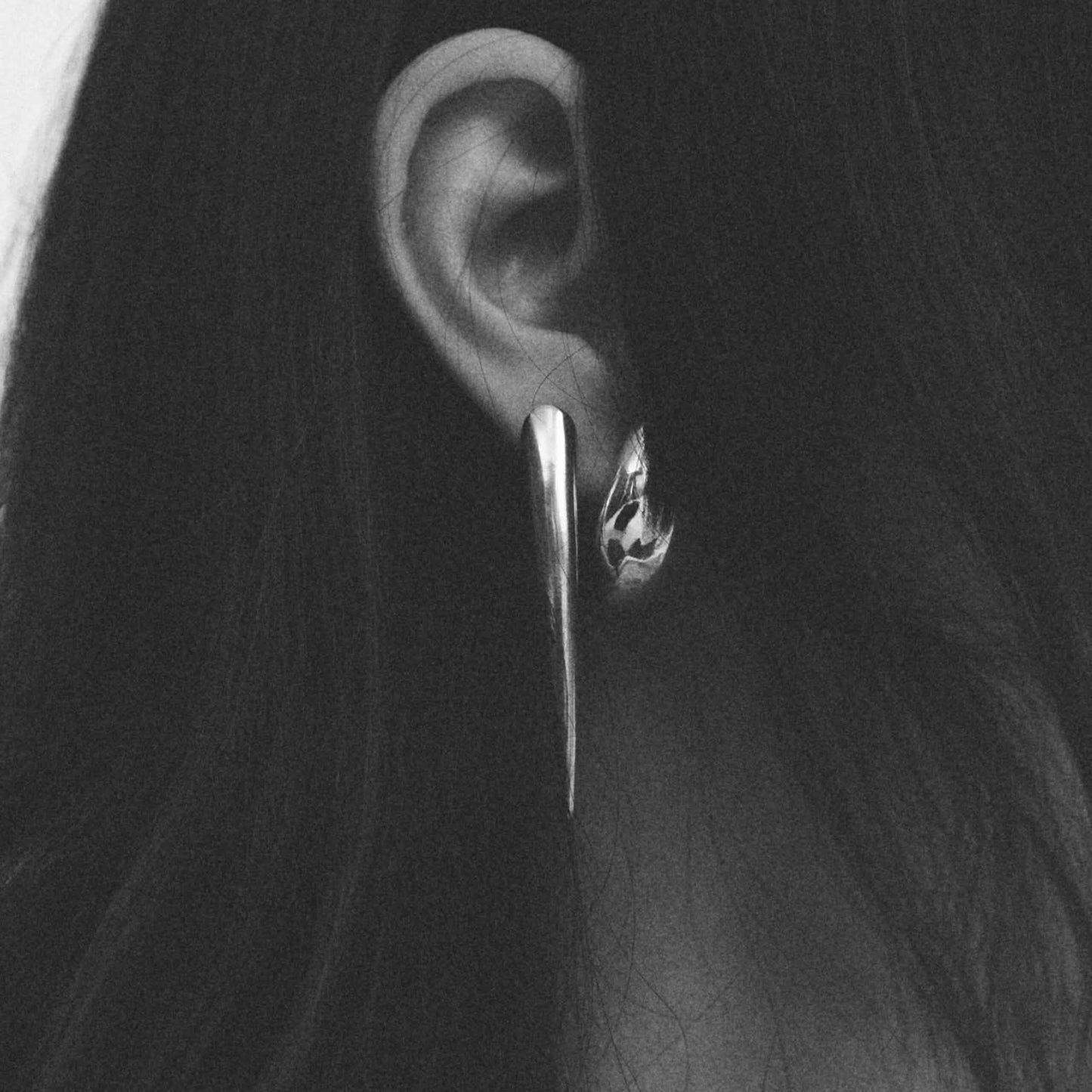 HORNS